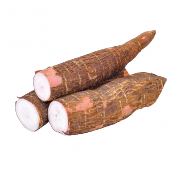 Macaxeira