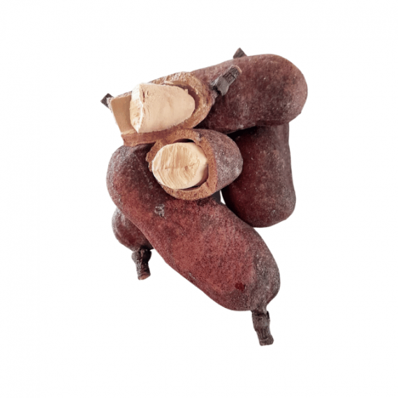 Jatoba